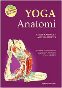 Yoga Anatomi