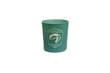 Harry Potter Slytherin Mum