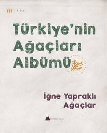 Türkiye’nin Ağaçları Albümü - İğne Yapraklı Ağaçlar