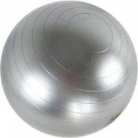 Pilates Topu 55 Cm Gümüş