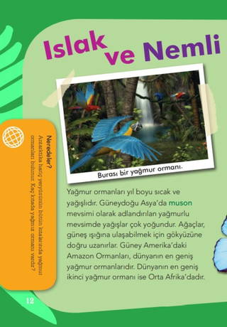 Yeryüzünde Neler Var?