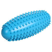 Dikenli Masaj Ve Egzersiz Silindiri