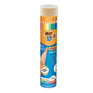 Bic Evolution Kuru Boya Kalemi 12+1 Renk Metal Tüp