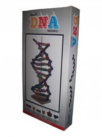 Eva Dna Modeli Seti