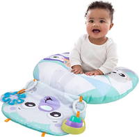 Playgro Polar Pals Aktivite Yastığı