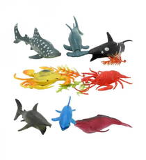 Deniz Hayvanları - Sea Animal