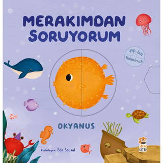 Merakımdan Soruyorum - Okyanus