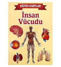 Eğitici Kartlar - İnsan Vücudu