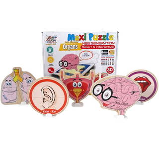 Organlar Puzzle - 30 Parça