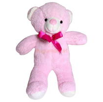 Uzun Ayıcık 50 Cm - Pembe