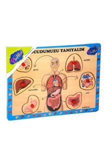 Ahşap Tutmalı Puzzle - Vücudumuzu Tanıyalım (Mavi)288