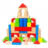 Playwood Renkli Ahşap Bloklar 100 Parça