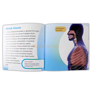 Solunum Sistemi İş Başında - Vücudumuzdaki Sistemler