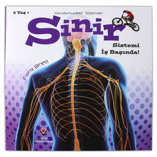 Sinir Sistemi İş Başında - Vücudumuzdaki Sistemler