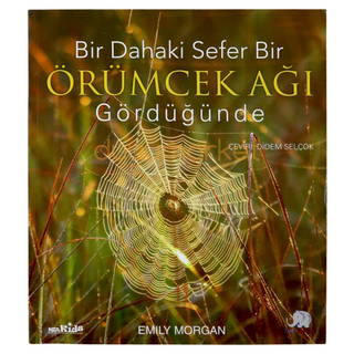 Bir Dahaki Sefer Bir Örümcek Ağı Gördüğünde