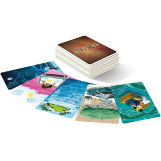 Dixit Mirrors - Aynalar