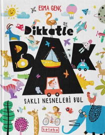 Dikkatle Bak - Saklı Nesneleri Bul