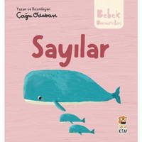 Bebek Üniversitesi - Sayılar