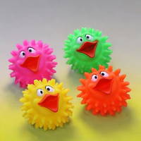 Renkli Duyusal Ördek