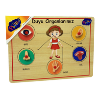 Playwood Ahşap Tutmalı Puzzle Duyu Organlarımız - Ony 166