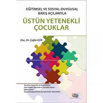 Üstün Yetenekli Çocuklar - Eğitimsel Ve Sosyal / Duygusal Bakış Açılarıyla