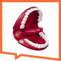 Küçük Oral-motor Ağız Maketi