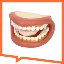 Büyük Oral-motor Ağız Maketi