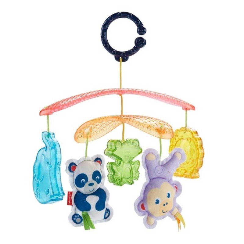 Fisher Price Mini Dönence Dyw54