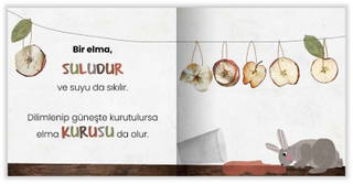 Eolo Oyunbaz Öyküler - Bir Elma