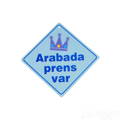 Elybaby Arabada Prens Var